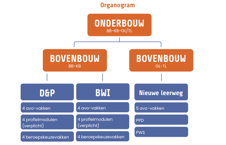 Organogram (1)